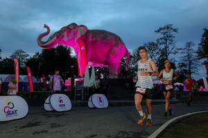 BIB: 
                            <button type="button" onclick="openModal(26529751)" class="btn btn-primary btn-sm float-right btn-popup" data-toggle="modal" data-target=".modal-high-quality">
                        <i class="fas fa-shopping-cart"></i> Add to Cart
                    </button>
                                            <button type="button" onclick="isThisMe(26529751, true)" class="btn btn-success btn-sm float-right btn-popup btn-isme hidden" data-toggle="tooltip" data-placement="bottom" title="นี่คือรูปของคุณใช่ไหม คลิกที่นี่เพื่อเอาเข้าอัลบั้ม">
                        <i class="fas fa-plus"></i> Add to album
                    </button>
                    <button type="button" onclick="isThisMe(26529751, false)" class="btn btn-warning btn-sm float-right btn-popup btn-isnotme hidden">
                        <i class="fas fa-ban"></i> Remove from album
                    </button>